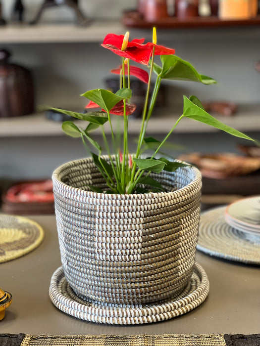 Taaru basket Anta Plant Pot